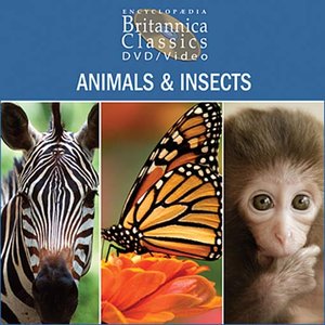 cover image of Animals & Insects: Part 2 of 4